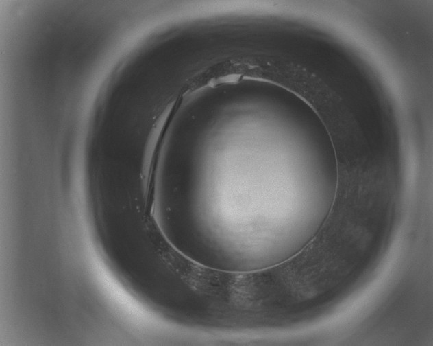 X0000054440382200508011436