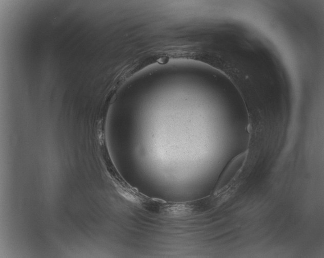 X0000054440383200508011436