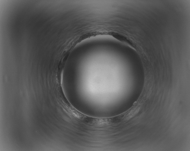 X0000054440384200508011436