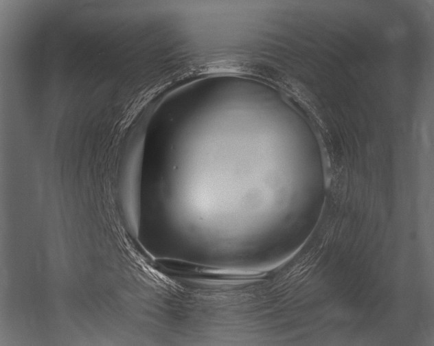 X0000054440385200508011435