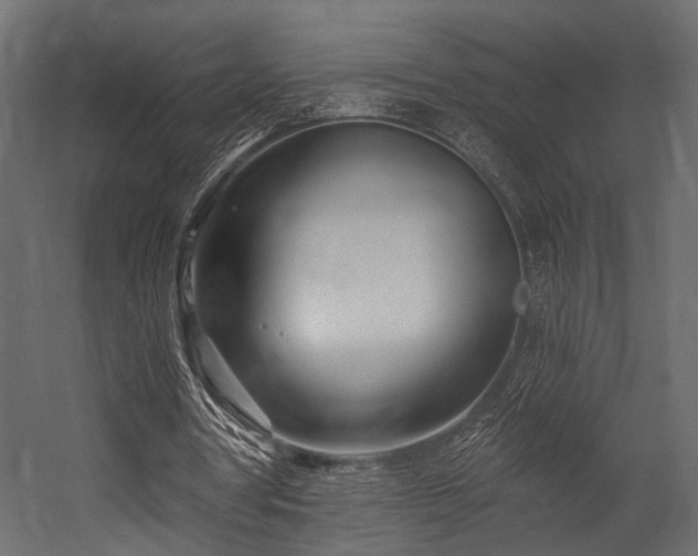 X0000054440386200508011435