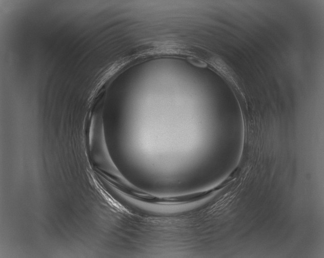 X0000054440389200508011435