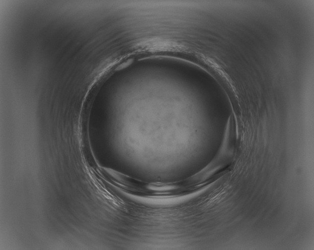 X0000054440391200508011435