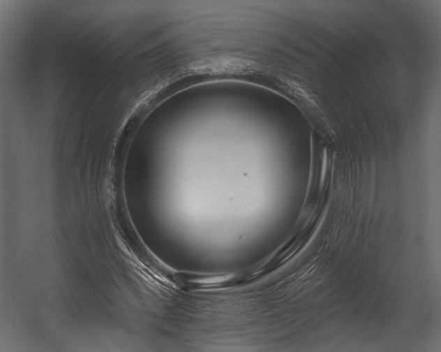 X0000054440392200508011435