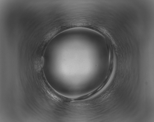 X0000054440393200508011435