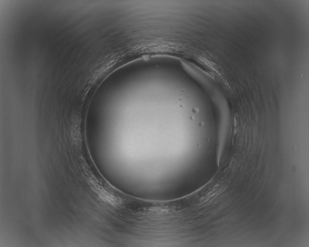 X0000054440394200508011435