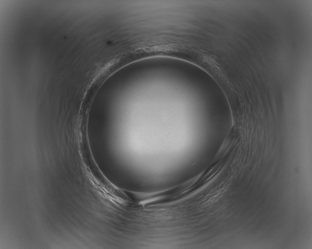 X0000054440395200508011435