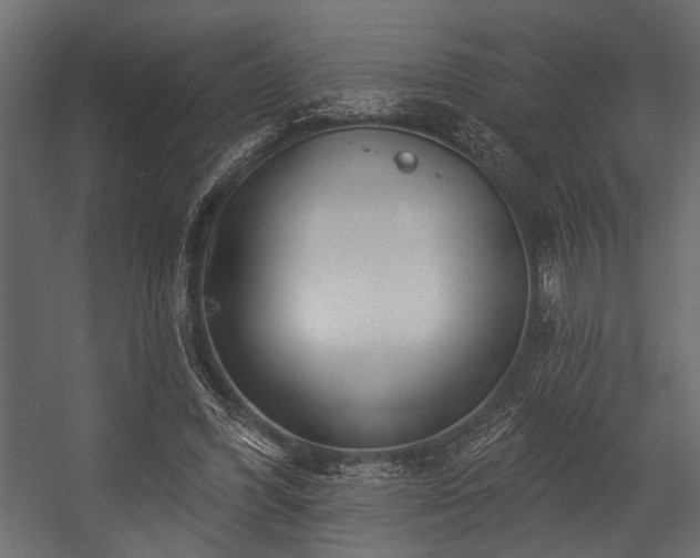 X0000054440396200508011435