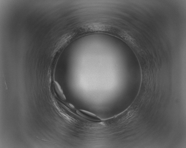 X0000054440398200508011435