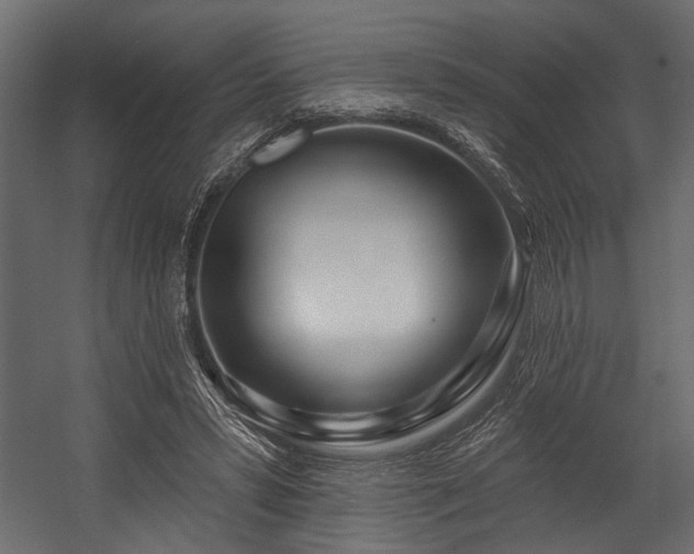 X0000054440399200508011435