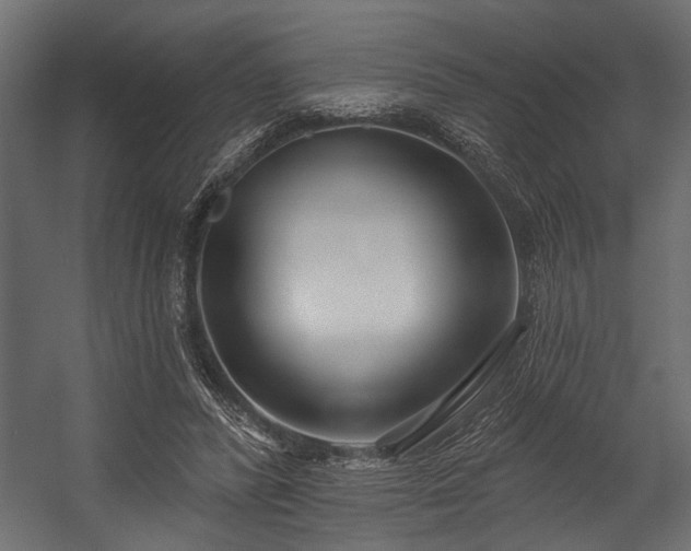 X0000054440400200508011435