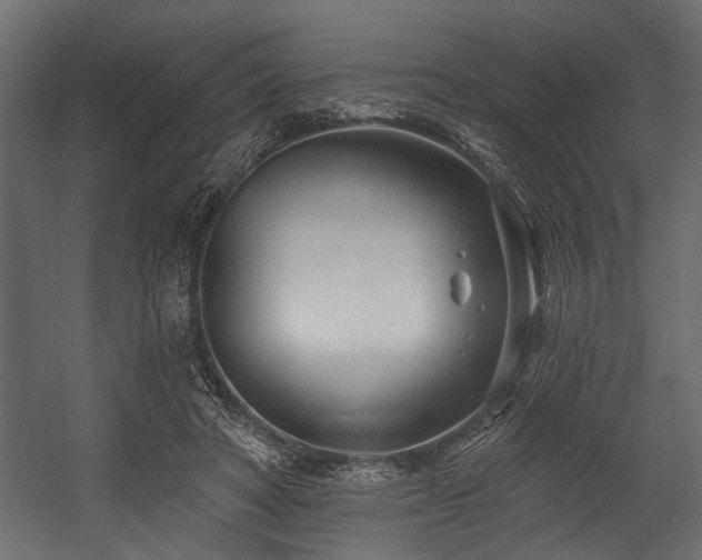 X0000054440402200508011435