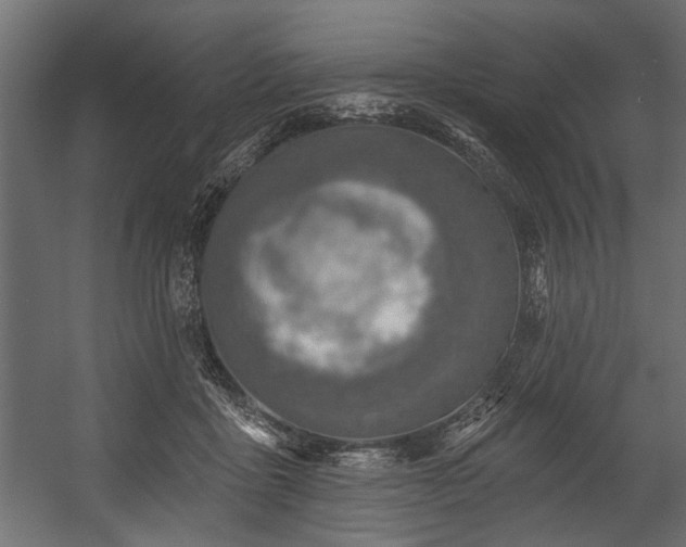 X0000054440411200508011435