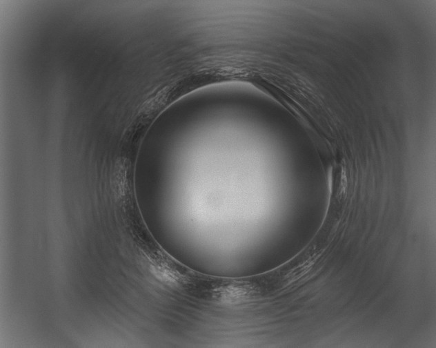 X0000054440412200508011435