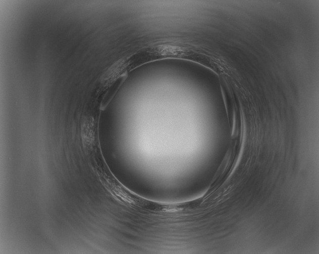 X0000054440413200508011435