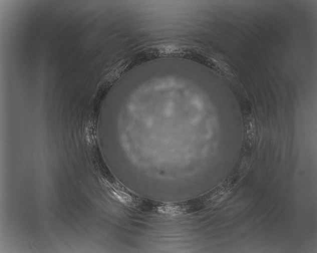 X0000054440419200508011435