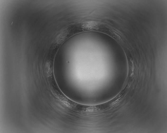 X0000054440420200508011435