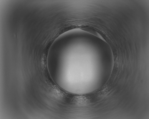 X0000054440424200508011435