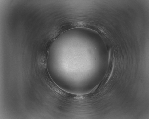 X0000054440425200508011435