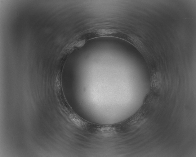 X0000054440426200508011435