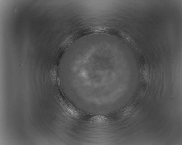 X0000054440427200508011435