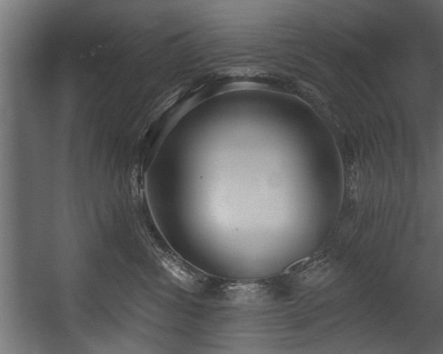 X0000054440428200508011435