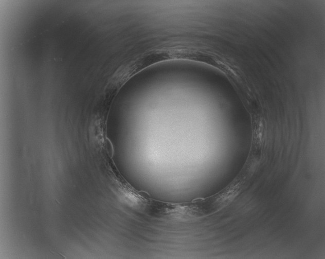 X0000054440430200508011434