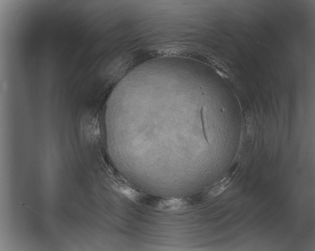 X0000054440431200508011434