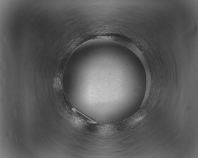 X0000054440432200508011434