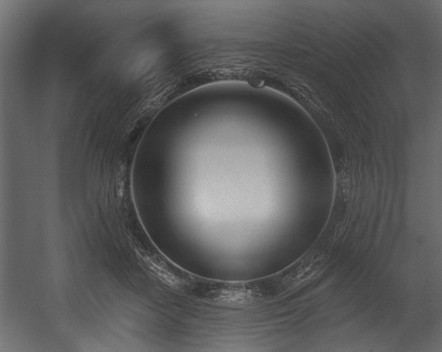 X0000054440458200508011434