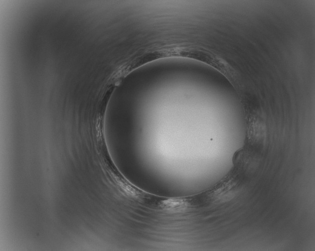 X0000054440477200508011434