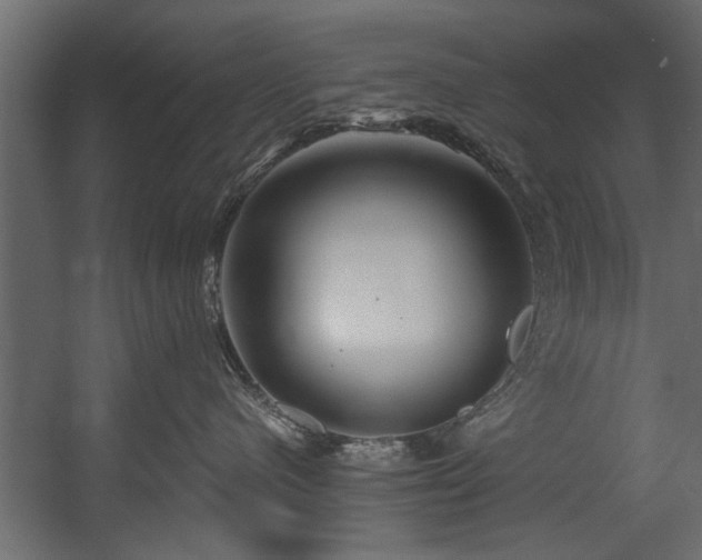 X0000054440480200508011434