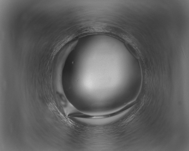 X0000054440481200508011434