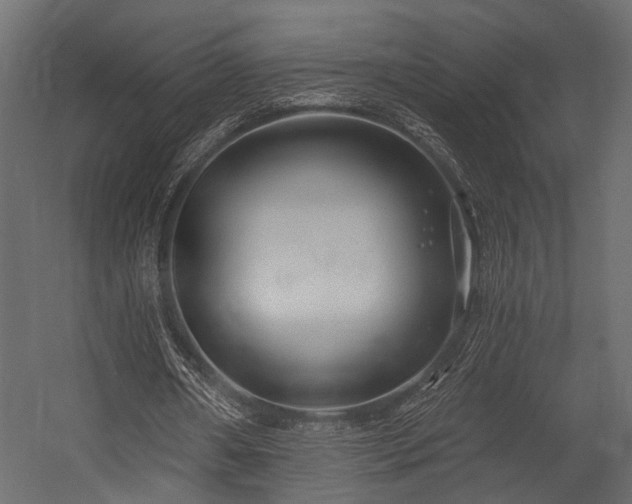 X0000054440482200508011434