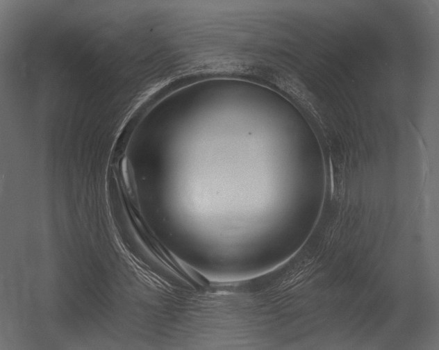 X0000054440483200508011434