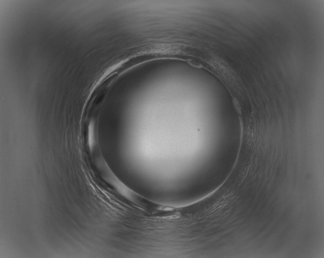 X0000054440484200508011434