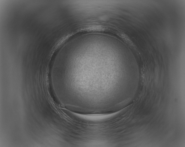 X0000054440487200508011433