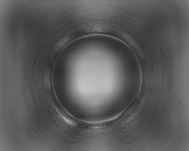 X0000054440489200508011433