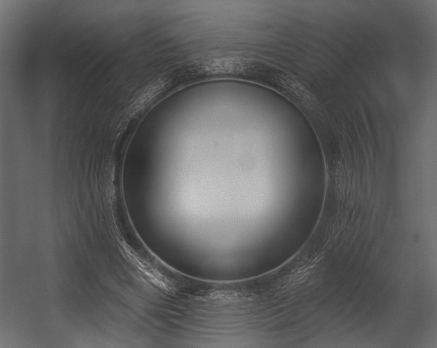 X0000054440490200508011433