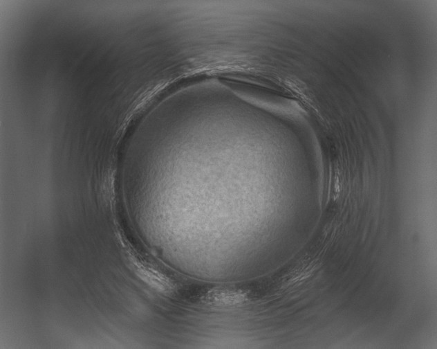 X0000054440491200508011433