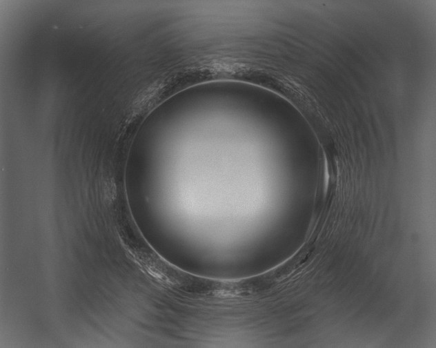 X0000054440496200508011433