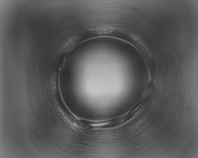 X0000054440501200508011433