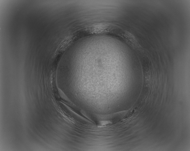 X0000054440503200508011433