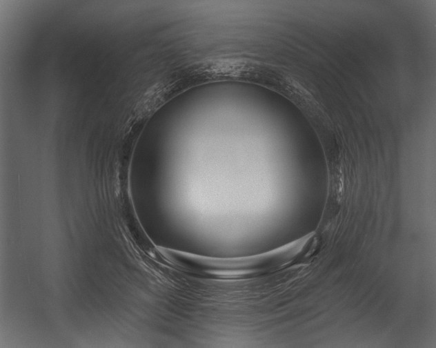 X0000054440504200508011433