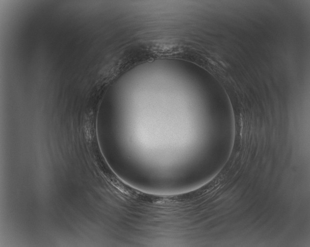 X0000054440515200508011433