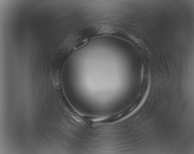 X0000054440517200508011433