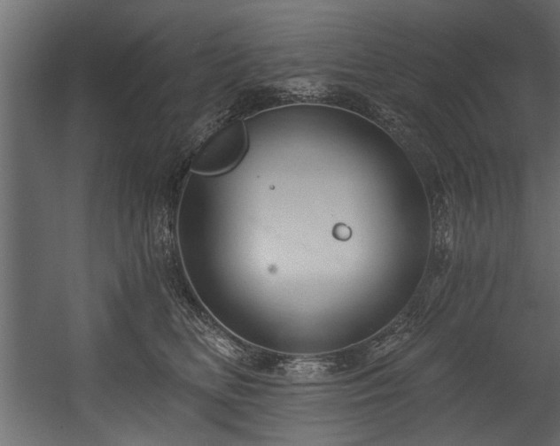 X0000054440518200508011433