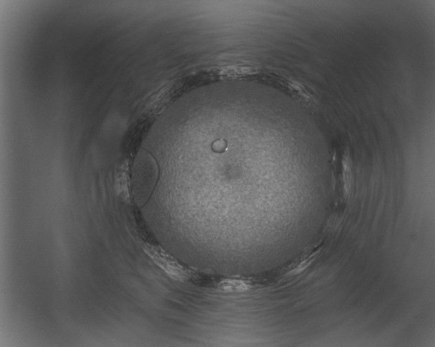 X0000054440519200508011433