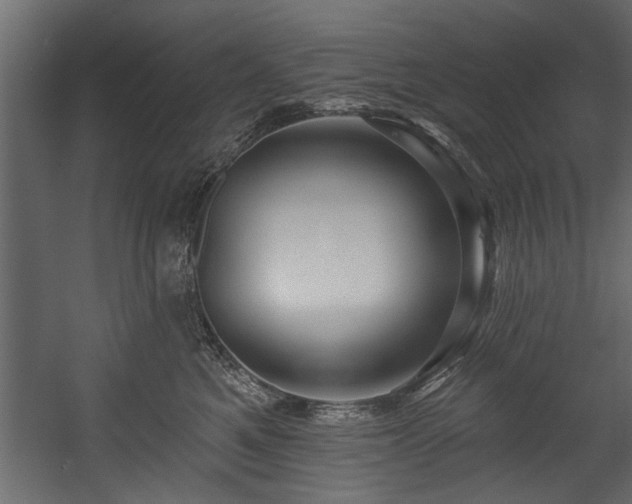 X0000054440521200508011433