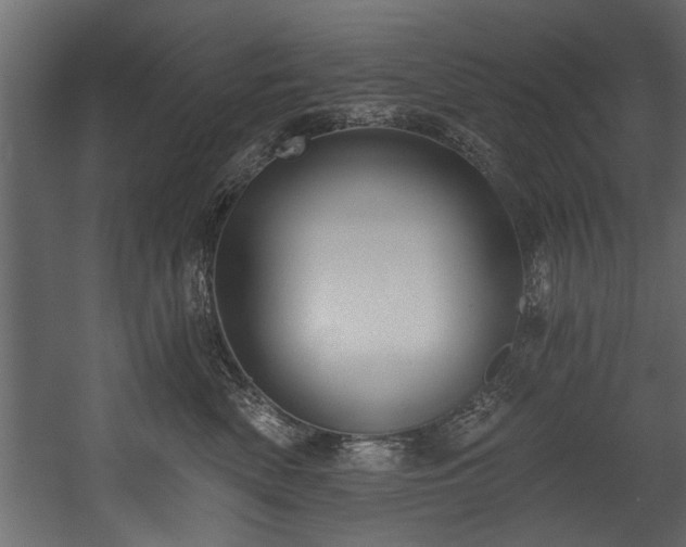 X0000054440522200508011433